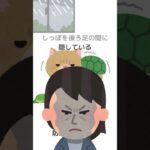 その２　しっぽでわかる猫の気持ち #雑学 #1分雑学 #豆知識#2ch #ゆっくり解説 #cat #ねこ #猫 #2ちゃんねる #しっぽ #しつけ