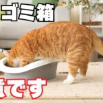猫のゴミ箱対策を紹介【イタズラやその対策は？】
