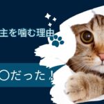 「猫が噛むのはなぜ？飼い主が知っているべき理由と対応」