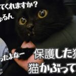 こまった…