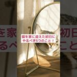 【動物雑学AI】猫を家に迎えたら初日が超重要！やるべき5つのこと！ 🐱 🏠✨ #shorts