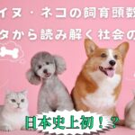 【日本史上初】猫の逆転劇が始まる！？何が人を変えさせたのかを解説【ドッグトレーナー】