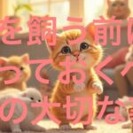 猫を飼う前に知っておくべき10の大切なこと！初心者必見の完全ガイド