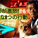 猫の心を壊す8つの行為…もう二度としないでください