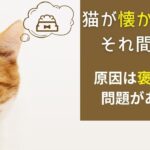 その叱り方…猫に嫌われてます！？