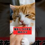 猫の躾#猫 #猫のいる生活 #雑学 #かわいい猫 #ねこ
