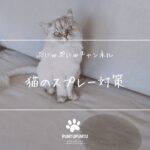 【猫のスプレー行動の原因と対策】マーキングをやめさせる方法を徹底解説🐱💡