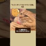 猫にやってはいけない行動3選 #ねこたんの解説 #雑学 #プチ知識