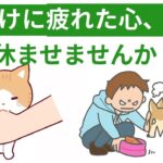 愛犬愛猫のしつけに悩み、涙が出そうな飼い主さんへ。獣医師が届けたい心の持ち方