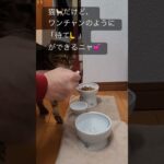 #猫 #犬みたいな猫 #待て #おやつ #ショート #shorts #かわいい #癒し #癒し動画 #今日の癒し #芸達者 #cat  #猫のしつけ #ねこ #ネコ #ねこ動画 #ねこのいる生活