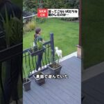 猫ちゃんが犬のしつけ係！？まさかの行動にほっこり