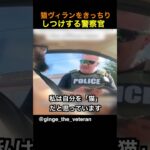 猫ヴィランをきっちりしつけする警察官