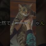 猫が獲物を持ってくるのは狩りのレッスン 健康チェックも忘れずに