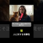 猫の人への攻撃行動！30秒しつけ方法！#猫 #攻撃性 #問題行動 #30秒 #しつけ方法 #ショートパンツ