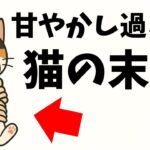 甘やかし過ぎた猫の末路–その愛情、命を縮めるかも？！