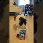しつけが甘いようだ