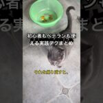 初心者もベテランも使える実践テクまとめ。#猫のいる生活 #猫との暮らし #猫育て #猫のしつけ #猫の習性 #猫の気持ち #ねこ好きさんと繋がりたい  #猫あるある #猫豆知識