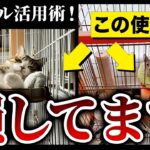 【知らなきゃ損】使わなくなったサークルのリメイク方法！しつけでも使える！プロ直伝の猫サークル活用術！