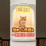 【解説】猫のトイレ問題を一発解決する方法#猫のトイレ#猫のしつけ#猫の悩み#猫好きさんと繋がりたい#猫ショート#猫のいる暮らし#ペットの豆知識
