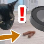 【検証】ルンバj7＋はペットのう〇ちを回避できる？【ロボット掃除機】