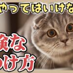 【今すぐやめて！】猫の危険なしつけ方